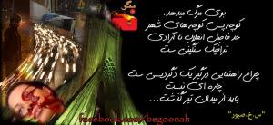 971220_209828559177391_255285487_n