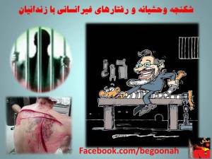 974507_555116117857277_705634074_n