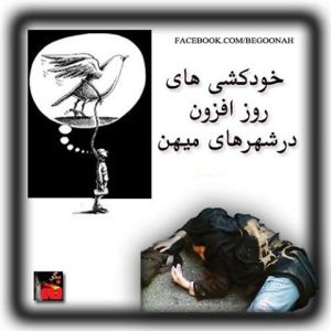 993689_213382045488709_1964759975_n