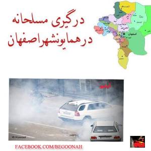 998865_206696179490629_444050469_n