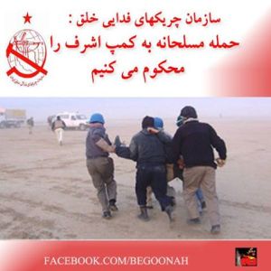 1170656_216355298524717_1981046337_n