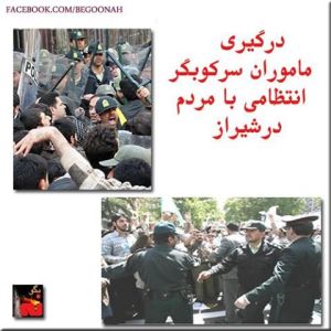 1170880_216985645128349_530772710_n