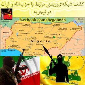 1176396_217233385103575_346641892_n