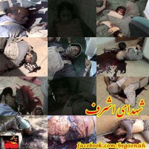 1184972_216402768519970_922722252_n