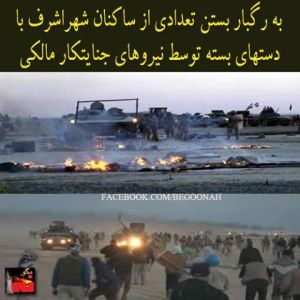 1185486_216330448527202_475019392_n