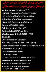 1186063_197509883753959_1352793244_n