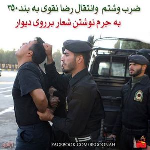 1186112_221199321373648_1349893370_n