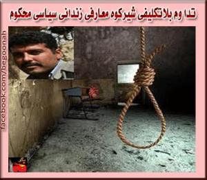 1208845_187581221424887_1387983317_n