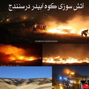 1230095_220842554742658_498140300_n