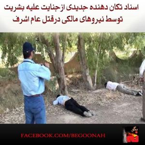 1230095_220842554742658_498140300_n