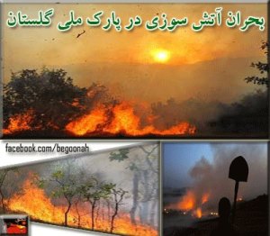 1233991_195388643977478_1455609036_n