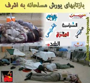 1234312_216887558471491_2091850525_n