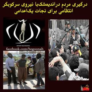 1234836_218391044987809_1538251730_n