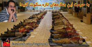 1235094_217250211768559_359112317_n