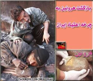 1236803_220246778135569_2001690233_n