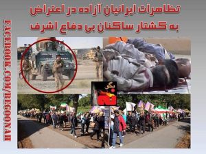 1239531_216376578522589_936989706_n