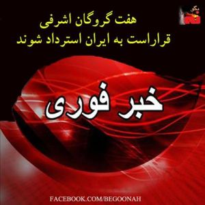 1239555_219114058248841_483043790_n