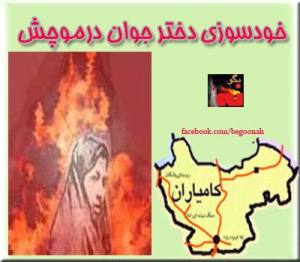 1381429_197944643721878_1907980237_n