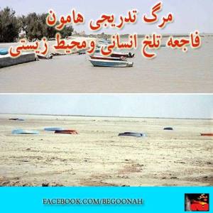 1382314_224973964329517_1602415017_n