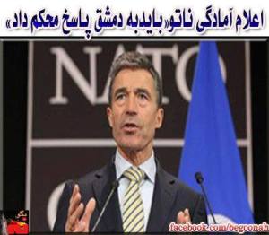 535018_217014161792164_681622988_n