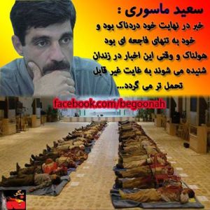 560519_216932735133640_34325786_n