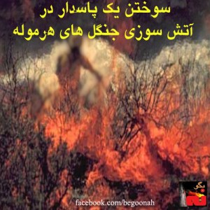 Untitled-1ATASH-SOZI-DAR-JANGAL