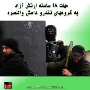 1010950_225834770910103_1189149003_n