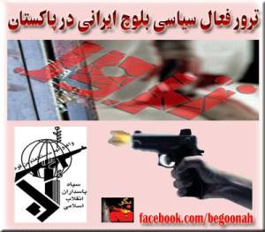 1233512_199277780255231_2114630665_n