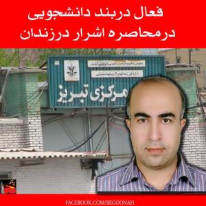 1374060_230494447110802_291203978_n