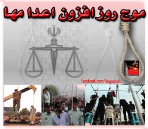 1374971_199296546920021_1857321986_n