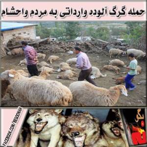 1375738_205654759617533_945492024_n