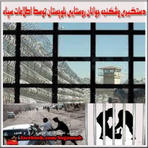 1376641_204027773113565_1538884698_n