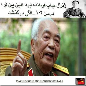 1377048_226157187544528_801349020_n