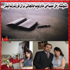 1377553_205426996306976_498002571_n