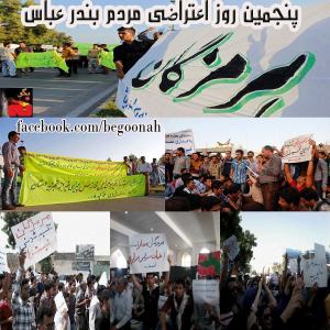 1378391_229358770557703_602323892_n