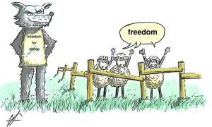 1378481_10151630461037271_1892376551_n