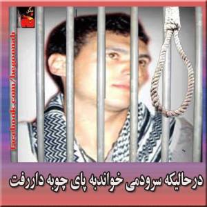 1379271_232984576861789_1676793579_n