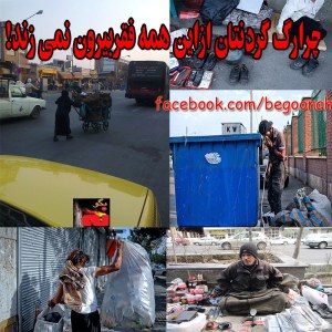 1380470_231831060310474_1023643730_n