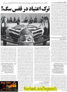 1381881_227795654047348_309463558_n