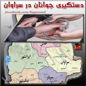 1382933_208377922678550_2003272051_n