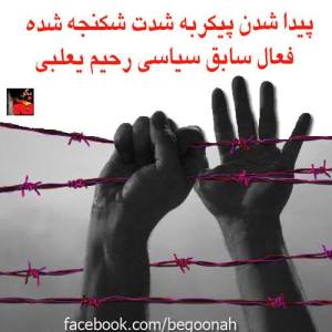 1383694_232807800212800_1951091603_n