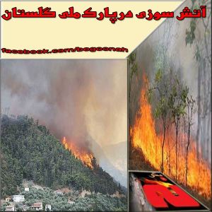 1383875_205349056314770_622285315_n