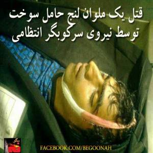 1384057_230531483773765_1359656792_n