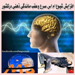 1395233_207081142808228_636112845_n