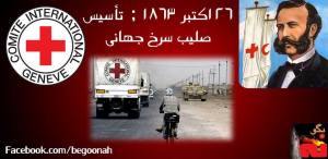 533950_232823050211275_68228626_n