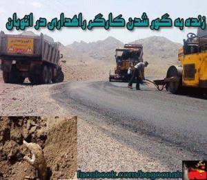 945842_227403187419928_1999965536_n