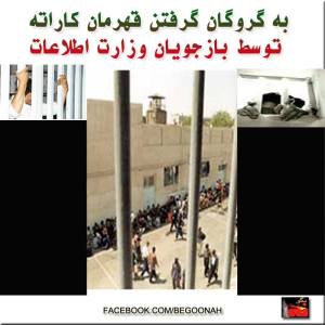 996922_226305997529647_1423586998_n