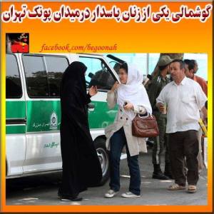 1385018_235891246571122_904637736_n