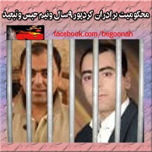 1395931_237078306452416_725233073_n