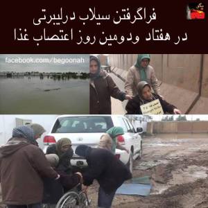 1396064_237447006415546_640169131_n